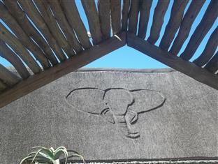 Elephants Footprint *