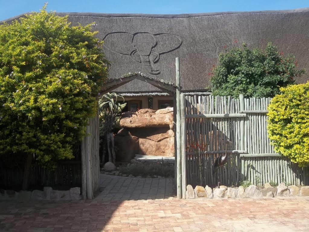 Lodge Elephants Footprint Colchester